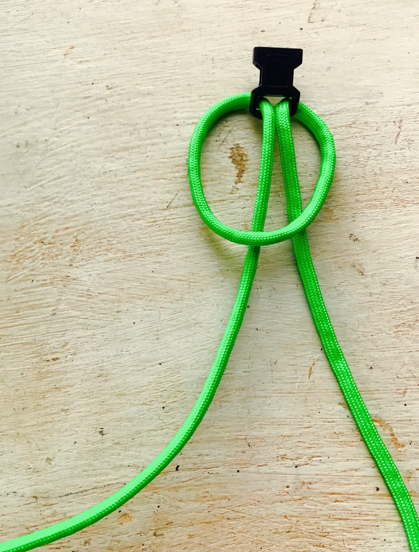 DIY with Irene: Dog Collars