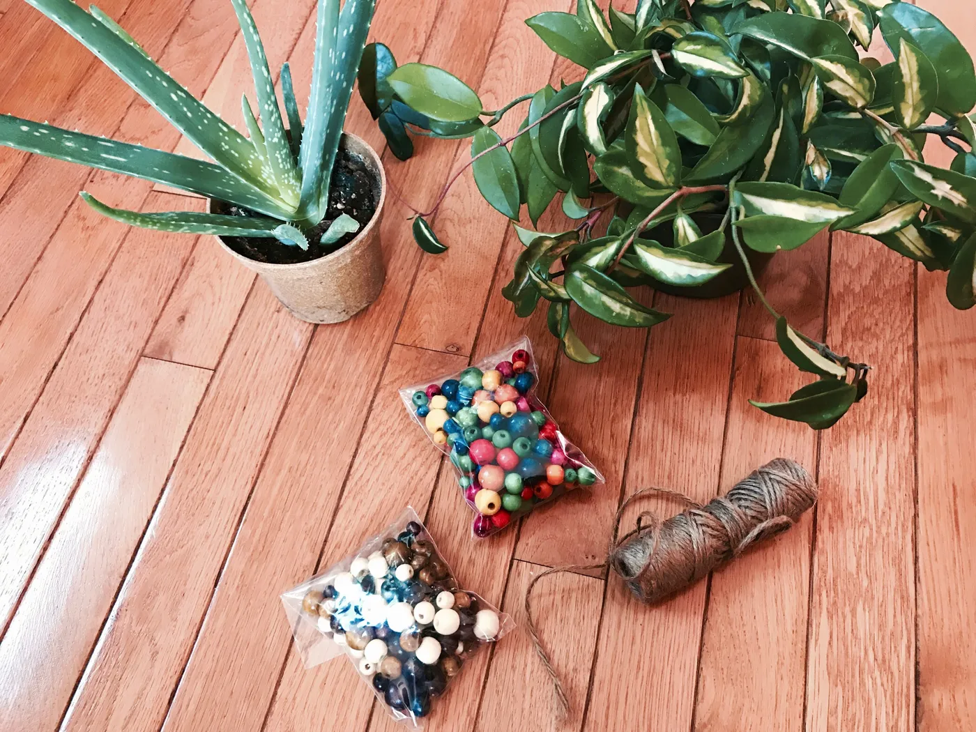 How to Hang Your Plants Like A (Gardening) Boss